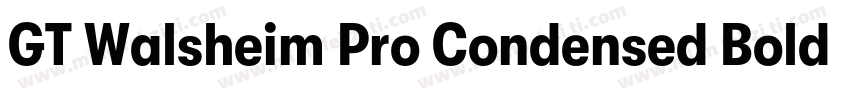 GT Walsheim Pro Condensed Bold字体转换